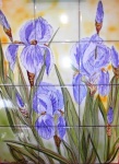 iris-bleu_13621